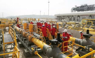 這家閥門(mén)公司兩套調(diào)壓裝置關(guān)鍵閥門(mén)成功通過(guò)中油管道公司現(xiàn)場(chǎng)工業(yè)性試驗(yàn)驗(yàn)收